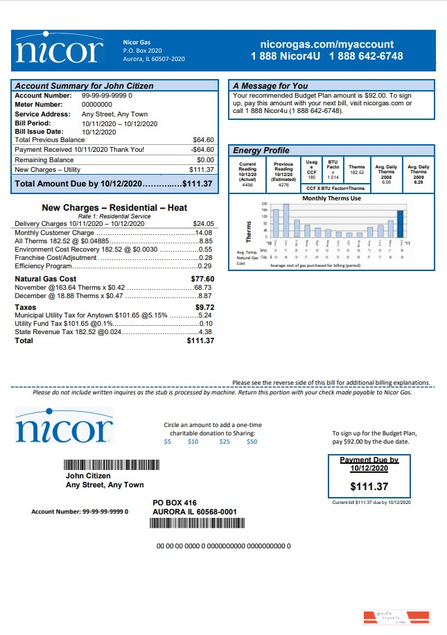 USA Illinois Nicor gas utility bill template in Word and PDF format